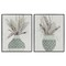 Stupell Industries Boho Rustic Plant Vases 2pc Framed Giclee Wall Art Set Design by Susan Jill